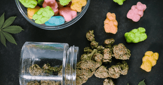 Flower vs Edibles? Which is Better Suited For You?