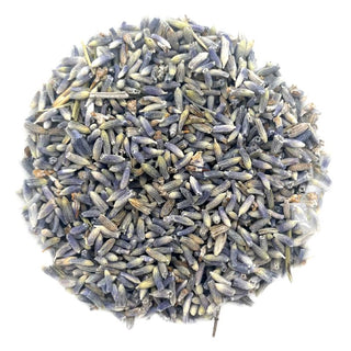 Lavender, 1 Oz | Hemp & Tea Company - Charlotte, NC