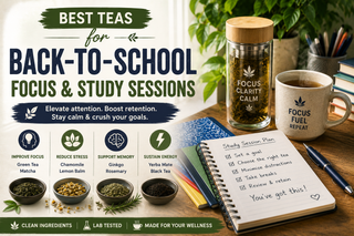 Best Teas for Back-to-School Focus & Study Sessions