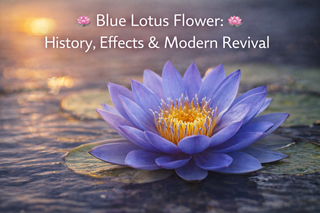 Blue Lotus Flower: History, Effects & Modern Revival