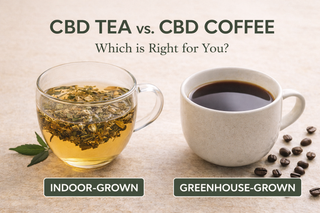 CBD Tea vs. CBD Coffee: Which Is Right for Your Daily Ritual?