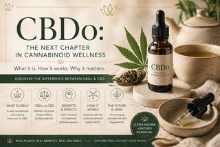 CBDo: What It Is, Effects, Benefits & How It Compares to CBD