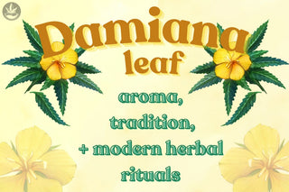 Damiana Leaf: Aroma, Tradition & Modern Herbal Rituals