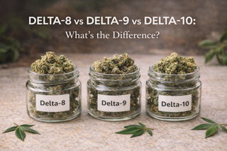 Delta-8 vs Delta-9 vs Delta-10: What’s the Difference?