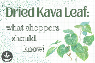 Dried Kava Leaf: What Shoppers Should Know First