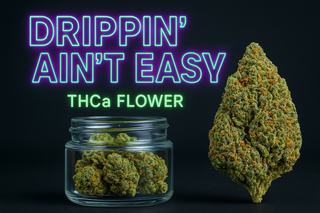 Drippin’ Ain’t Easy: The THCa Flower Strain That Defines Chill