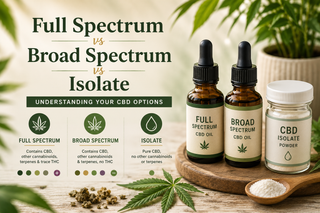 Full Spectrum CBD vs Broad Spectrum vs Isolate