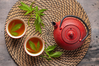 Hemp-Infused Wellness: Why More People Are Starting Their Day with Hemp Tea