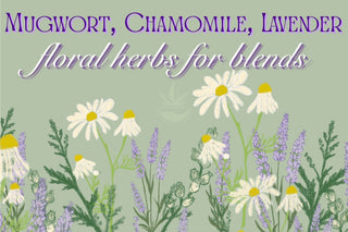 Mugwort, Lavender & Chamomile: Floral Herbs for Blends