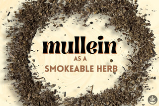 Mullein Leaf in Smokeable Herbal Blends: What to Know