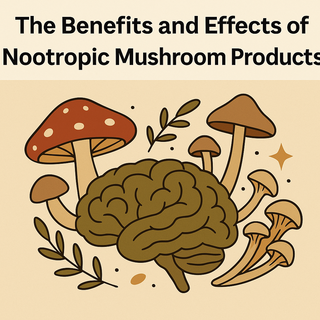Unlocking the Power of Nootropic Mushrooms: Focus, Clarity & Calm in Every Dose