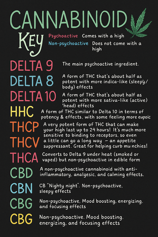 The Ultimate Guide to Cannabinoids: What They Are and How They Work