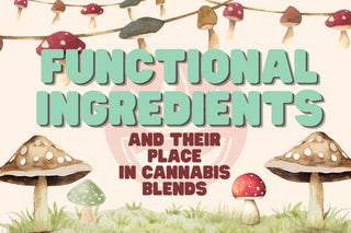 More Than a Gummy: Exploring Functional Ingredients and Cannabinoid Blends
