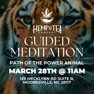 ✨ Guided Meditation: Path of the Power Animal ✨ - Mooresville