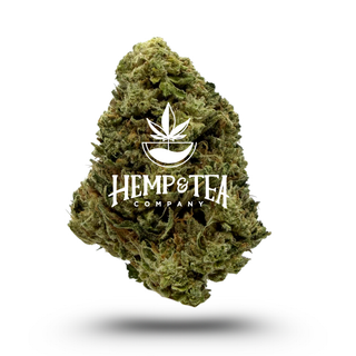 Animal Face Sherbet Greenhouse THCA Flower