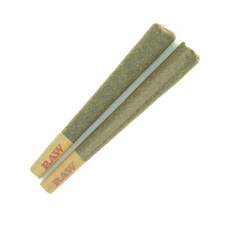 Northern Lights THCA King-Size Pre-Roll