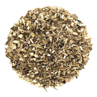 Echinacea, 1 Oz | Hemp & Tea Company - Charlotte, NC