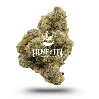 Gotti Beltz Greenhouse THCA Flower