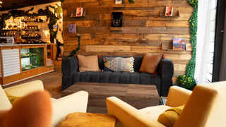 A cozy interior lounge scene with a dark gray tufted sofa centered against a rustic wood plank wall, surrounded by cream armchairs and a wooden coffee table. Decorative pillows, shelves with small framed items, and greenery are visible, along with a shop counter and aquarium in the background.