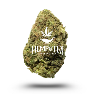 Purple Champagne Premium THCA Flower THCa Flower product image from Hemp & Tea Company